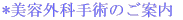 *���e�O�Ȏ�p�̂��ē� 